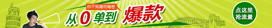 甩手流量衛士